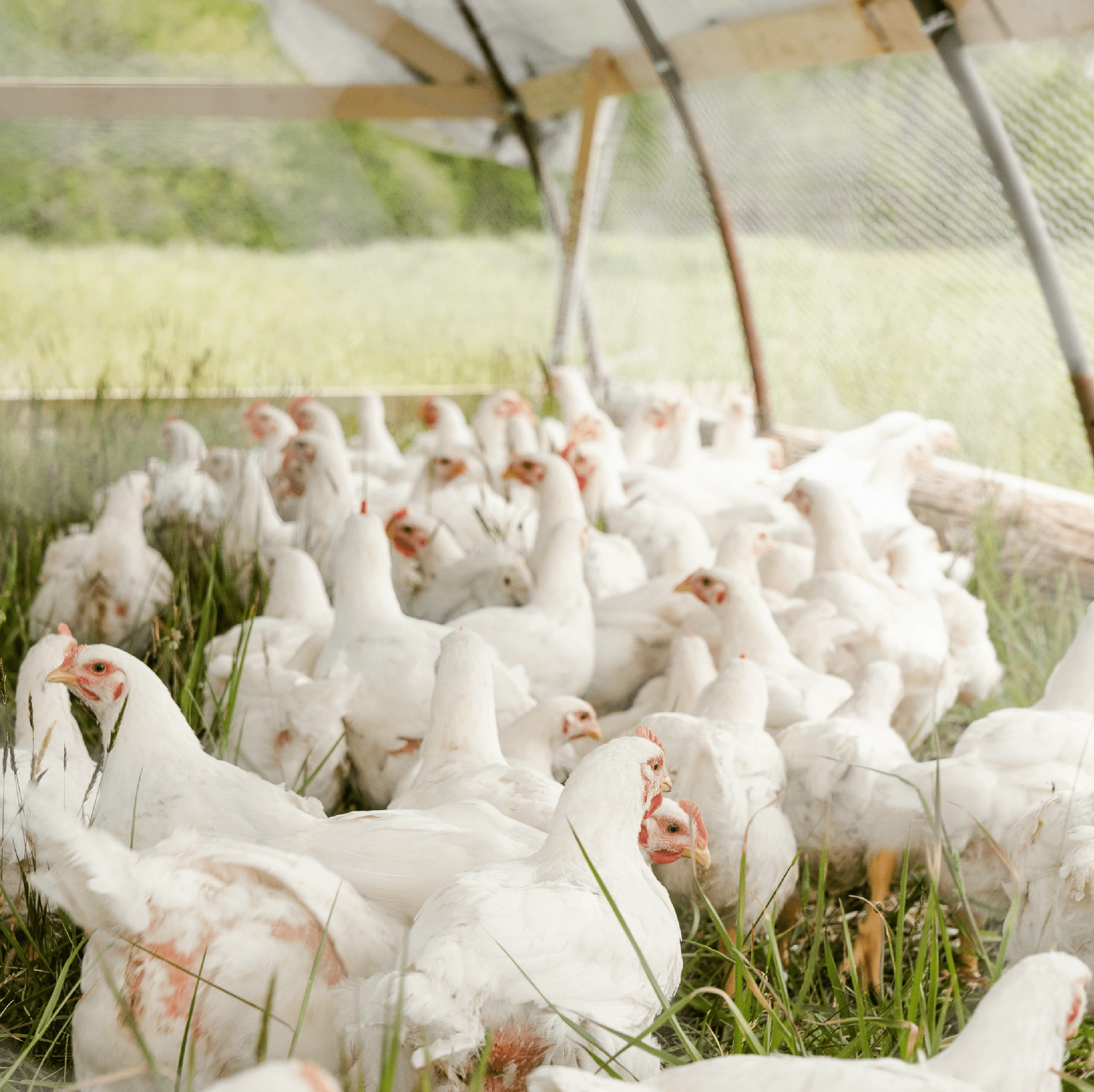 111111111-03-min 111111111-03-min